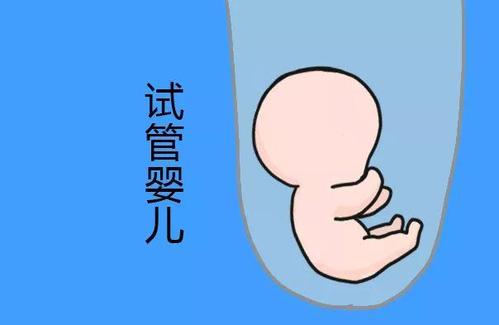 冷冻储存